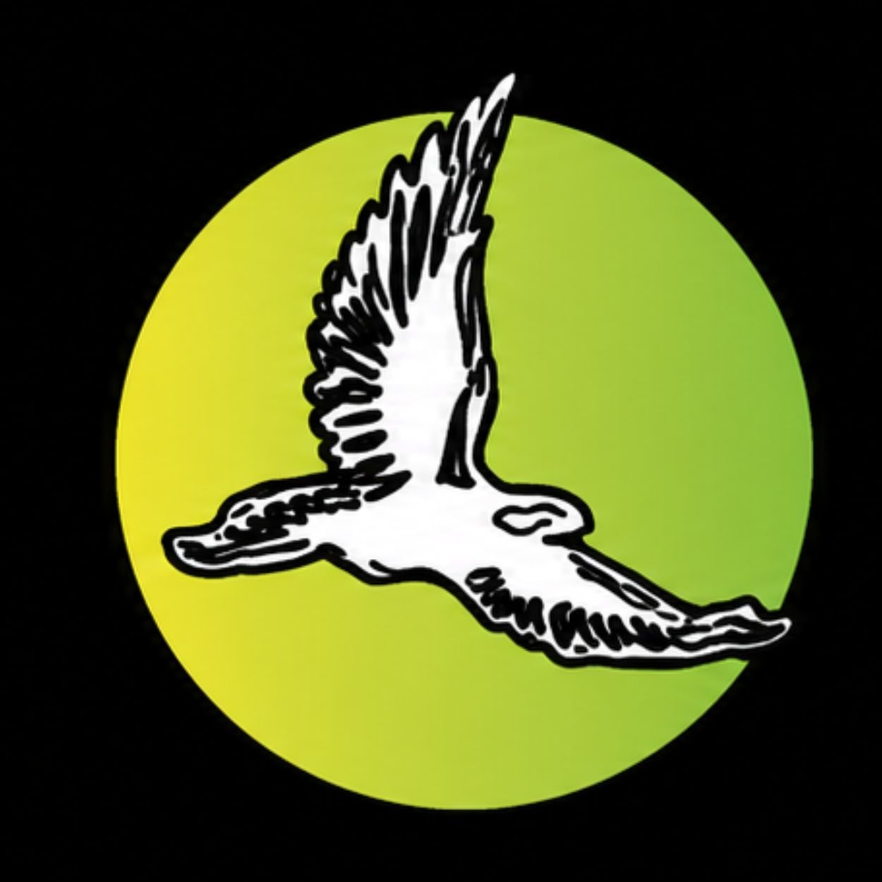 Halcón Blanco